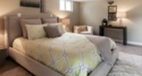 Basement guest suite